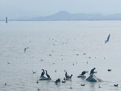-深圳湾公园(南山区)
