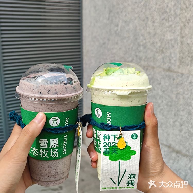 郑州也有茉酸奶了！清爽解腻神器！