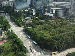 -深圳湾科技园丽雅查尔顿酒店