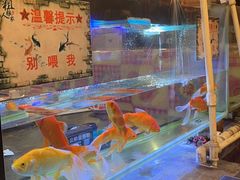 -粗粮人家·东北菜(洋桥店)