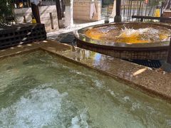 -春晖园度假酒店温泉