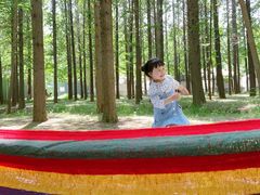 -日照海滨国家森林公园