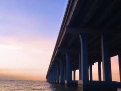 -宝安西湾红树林湿地公园