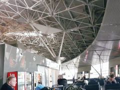 -谢列梅捷沃国际机场