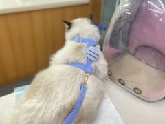 -联合动物医院(光谷诊疗中心)