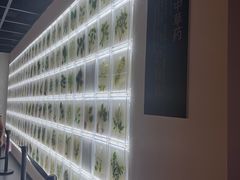 -广东中医药博物馆