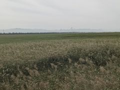 -野鸭湖国家湿地公园