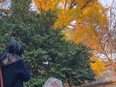 -青岛崂山太清宫