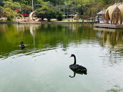 -广州市白云山风景名胜区