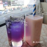 月迷津渡