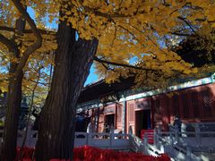 -红螺寺