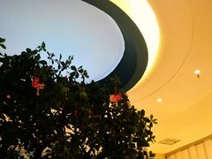 -悦海·家宴·冰花皮皮虾大锅贴(宝龙店)
