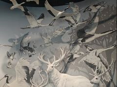 -中国湿地博物馆