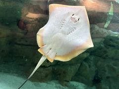 -珠海长隆海洋王国