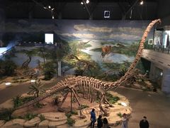 -自贡恐龙博物馆