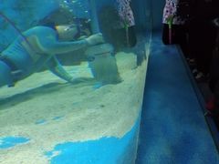 -秦皇岛新澳海底世界