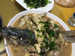 -煲来饱去冷水鱼