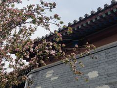 -北京鲁迅博物馆(北京新文化运动纪念馆鲁博馆区)