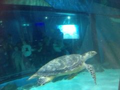 -苏州海洋馆