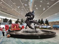 -青岛胶东国际机场