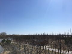 -东郊湿地公园