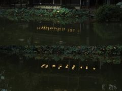 -黄龙溪古镇