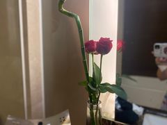 -青岛海尔洲际酒店