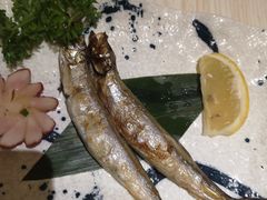 -割烹酱子日本料理(弘基财富广场店)