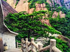 -黄山风景区
