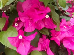 -KK ONE(京基滨河时代店)