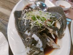多宝鱼-九號渔港·蒸汽海鲜·粤菜茶点(八卦岭店)