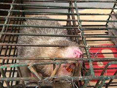 -百丈园(陈村店)