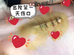 -哆趣宠物医院·眼科·内镜·急重症转诊中心(上海店)