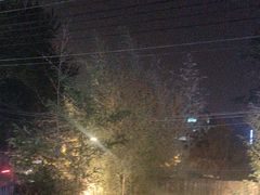 -羊门客在·烤盐池滩羊·川菜