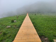 -白草畔自然风景区