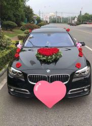 -蚂蚁婚车
