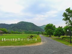 -径山花海