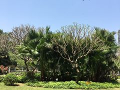-晓港公园