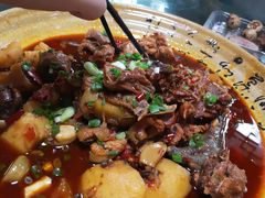 -青城甲(青城山店)