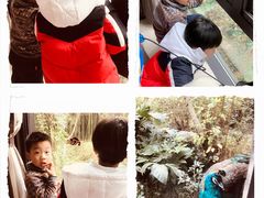-苏州环秀晓筑养生度假村