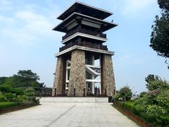 -大湾区中央湿地公园