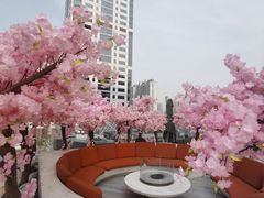 -城市露台景观餐厅(淮海路店)