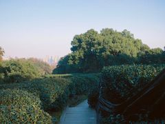 -西湖风景区十里琅珰-五云山