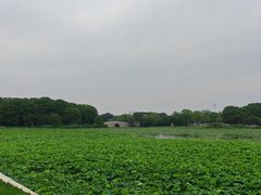 -阳澄湖半岛旅游度假区