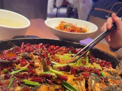 -老板恋上鱼(恒隆广场店)