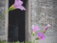 -大旗头古村