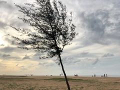 景点-白沙门生态公园