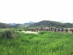 -泸沽湖国家级风景名胜区走婚桥