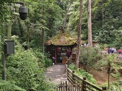 -青城山