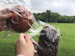 -吴淞炮台湾湿地森林公园烧烤区